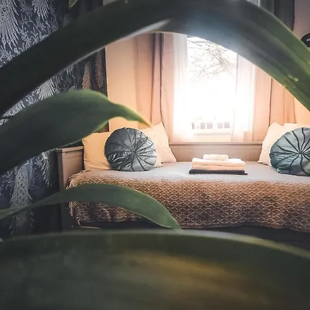 Homestay szállás Whole Stylish 1880s Guinness Worker House Dublin